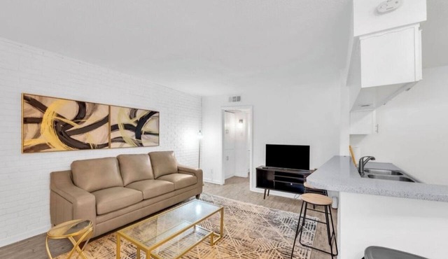 Apartment in Downtown Dallas