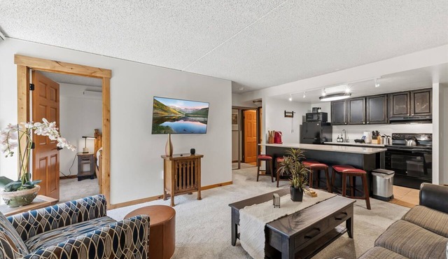 Best location in Breckenridge - Downtown - Ski In Ski Out - 1 Bedroom Condo in Breckenridge