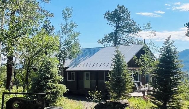 Cannon Creek Cabin - Adult only, private, great views, Hot Tub and Outdoor Sauna