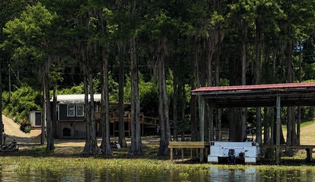 Canvasback Cove on Caddo Lake - Lakefront pet friendly cabin in Jefferson, Tx in Jefferson