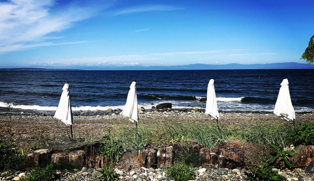 Central 2 bdr Beachfront Hot Tub Clam/Oyster FREE kids kayak use, hiking trails in Qualicum Beach