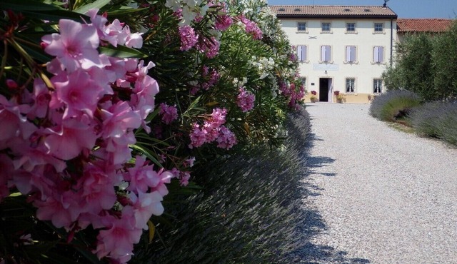 Charming B&B between Verona and Lake Garda in Veneto
