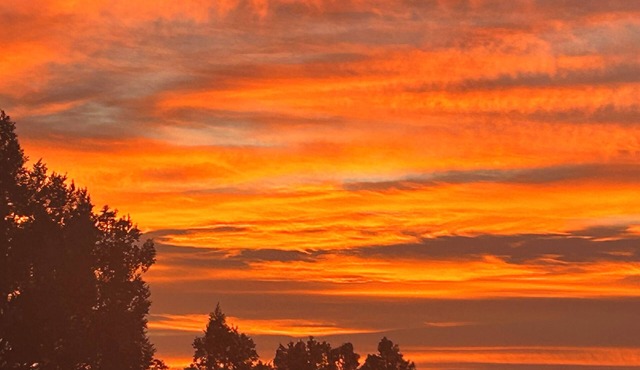 Charming farmhouse on 200 acres in Hesperus, CO overlooking 5,000 acre reserve.