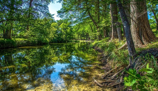 Clear River Cabin on Medina