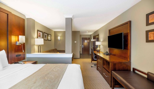 Comfort Suites Carlsbad