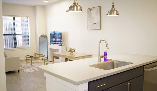 Cozy 1-bedroom apartment in perfect downtown Houston