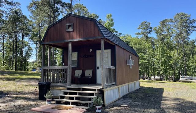 Cozy Cabin on Lake Sam Rayburn w/waterfront access