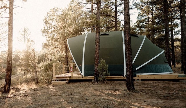 Cozy Glamping Tent with Heritage Orchard & Farm Animals near Mountainair in Torreon, New Mexico