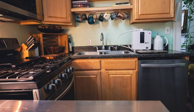 Dog Friendly, Block from Magazine St, Grand Piano, Central AC, Alkaline Filter in New Orleans