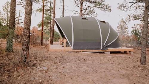 Glamping Escape in the Manzanos in McIntosh