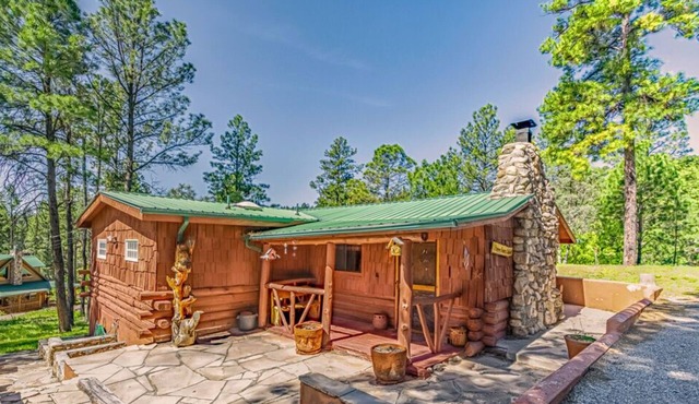 Happy Bears Cabin | Beary Cozy Getaway w/Fireplace & Forest Views
