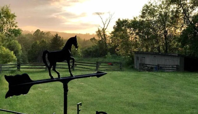Hockley Hideaway Farm Stay!n in Loretto