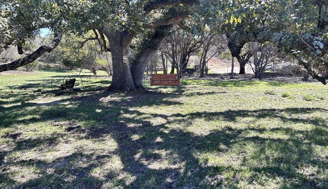 Home on 5 acres Super close to town.