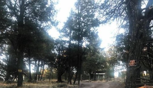 Idyllwind Hills Cabin