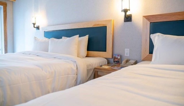 Newly Renovated, Bright Suite on Tunnel Mountain! in Banff