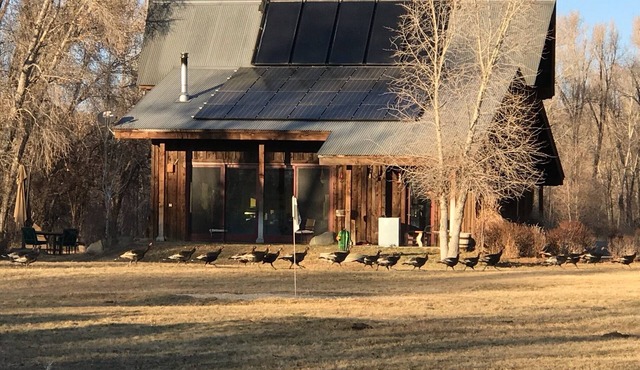 Oso Verde Ranch, a natural oasis, is located just a mile from downtown Mancos