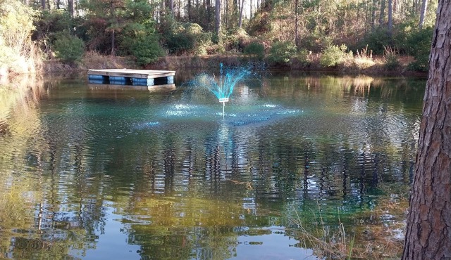 Peaceful East Texas Getaway