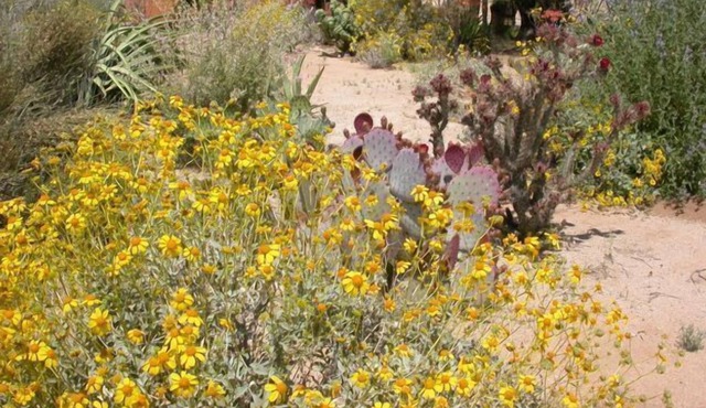 Private Desert Casita Nature Spiritual Retreat on 10 acres