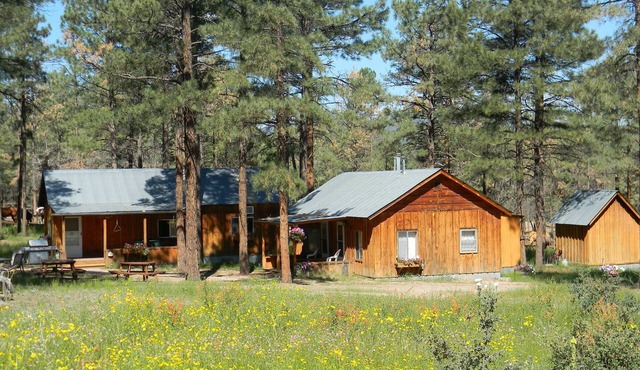 Private Ranch Experience in the Gila National Forest, New Mexico!