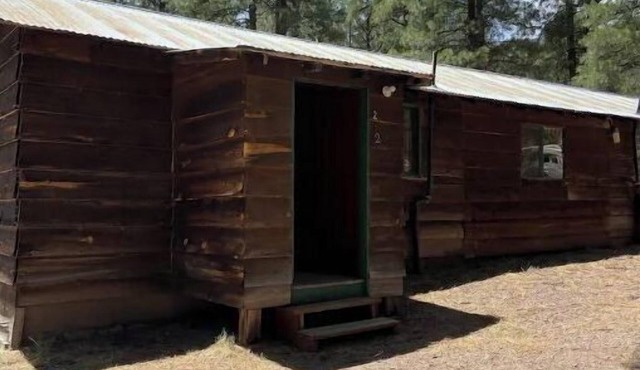Quaint Country Cabin in the tall pines AlpineAZ #2