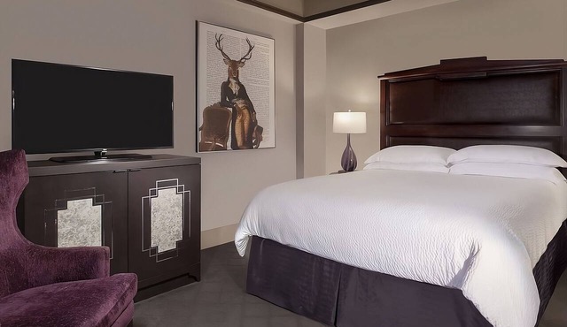 Romance Jacuzzi Room at The Ashton Hotel, Steps To General Worth Square!