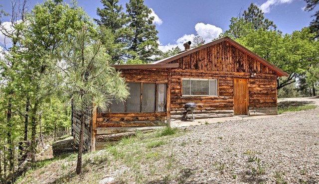 Ruidoso Log Cabin Near Skiing & Wildlife!
