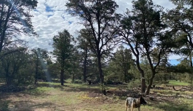 RV Mountain Getaway