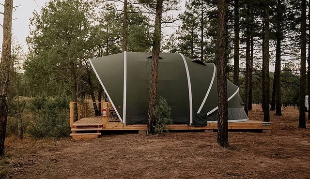 Scenic Glamping Tent with Orchard & Farm Animals near Mountainair in Torreon, New Mexico