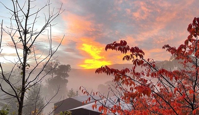 Snowgums Mountain Retreat - the perfect retreat location in Yaouk