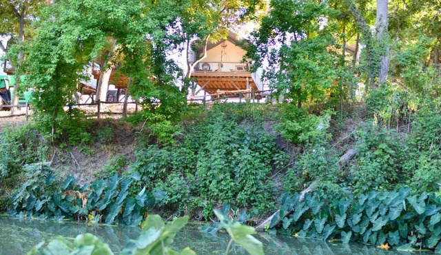 Son's Rio Cibolo Birdhouse Cabin #22 Brand New Cabins Overlooking Beautiful Spring Fed Creek!
