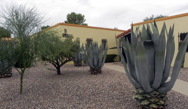Southwest Serenity in Central Green Valley