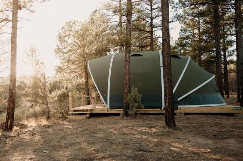 Starry Skies Glamping Escape