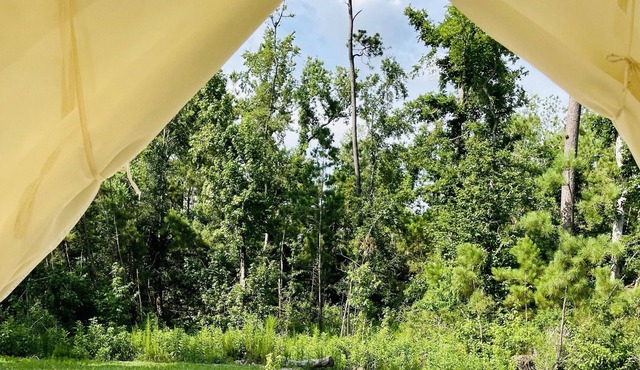 Tentrr State Park Site - Louisiana Sam Houston Jones State Park - Woodland I Sin in Lake Charles