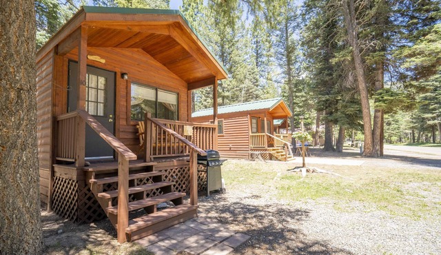The Blue Fox Cabin #8