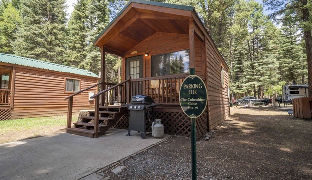 The Columbine Cabin #9