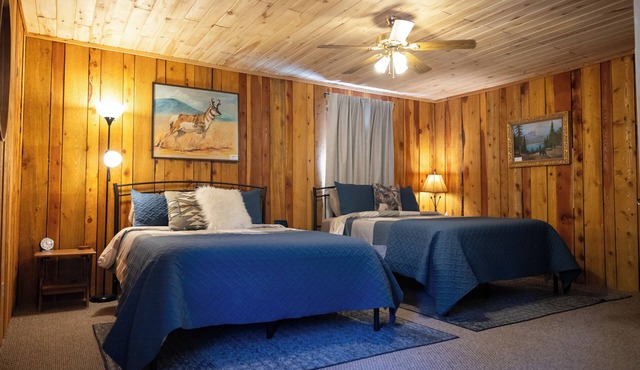 'The Loon's Nest' 1-bedroom cabin in the heart of the Rio Grande National Forest
