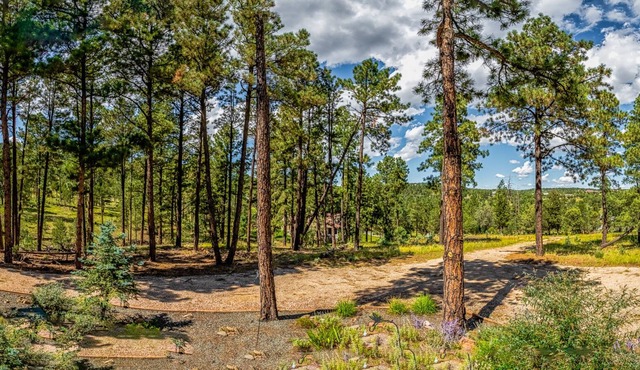The Peaceful Nest: 3 Bedrooms, Beautiful Scenery, Quiet Surroundings, AND a Hot Tub!