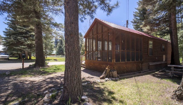 The Weminuche Cabin #80