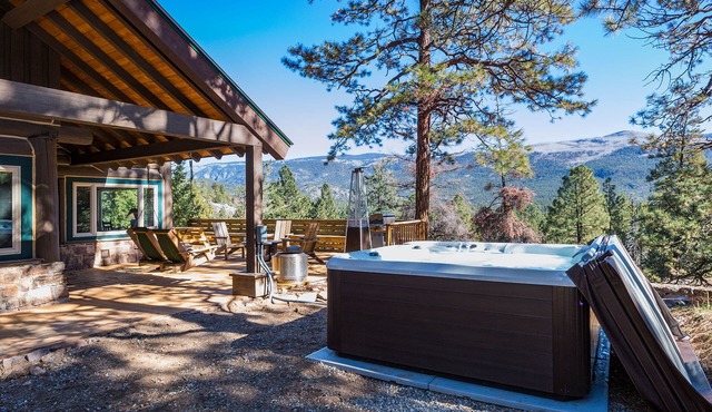Three Pet Friendly cabins on 3.5 Acres - Hot Tub/Views - 14 minutes to Purg