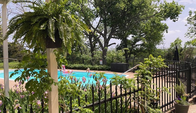 Top of the Hill-Cozy 1 bed/1 bath cottage, less than one mile to downtown.