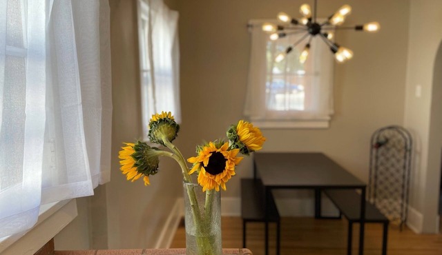 Traveling nurses! 2br/2ba Nob Hill/UNM area; two mile radius of 4 hospitals!