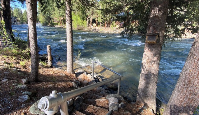 Vallecito Creekfront Cabin ~ Perfect Mountain Retreat for Families or Couples!