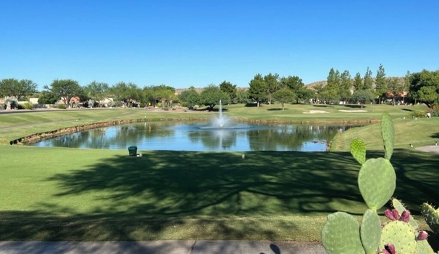 YukiBird Saddlebrooke Retreat - Golf Pools Restaurants Activities and More
