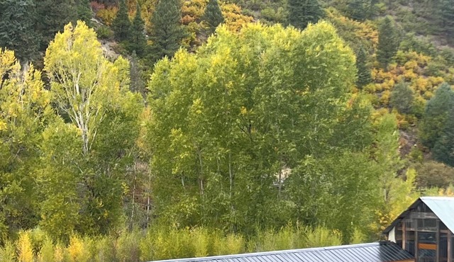 Yun-Shui Garden Where Clouds Drift, Water Flows