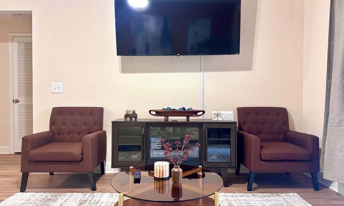 Houston Apartment | Cozy Modern 1BD Med Center NRG Galleria Downtown.