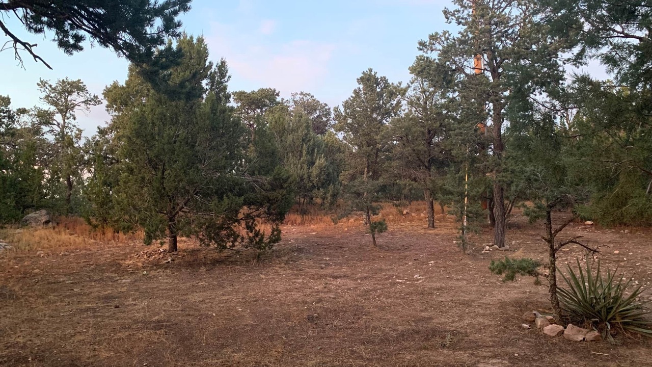Photo of Outdoor in Pinion Ridge Estates