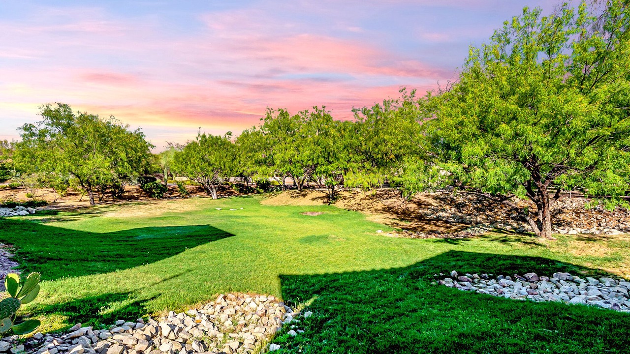 Photo of Outdoor in Rancho Vistoso