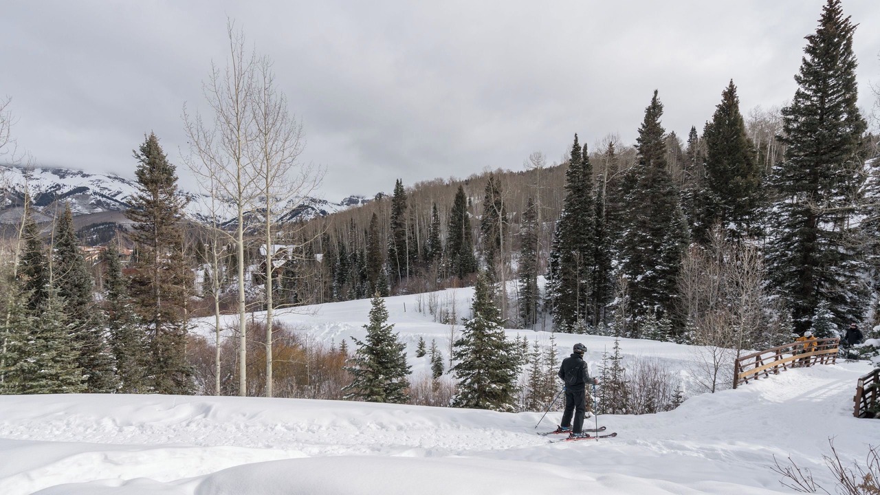 Photo of Others in Mountain Village