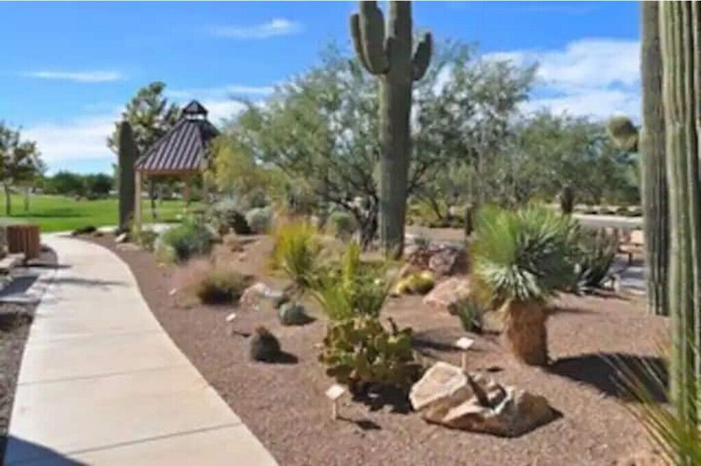 Photo of Outdoor in Rancho Sahuarita