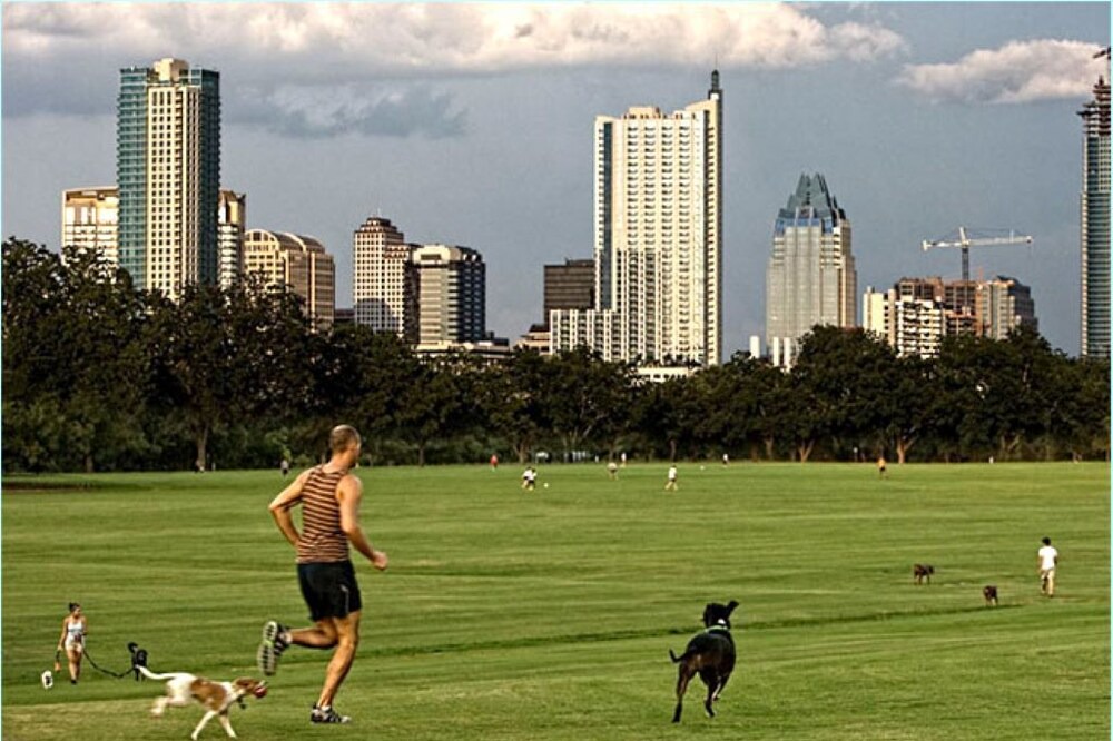 Photo of Others in Barton Heights
